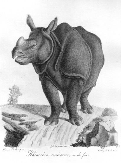 Geoffroy 1820