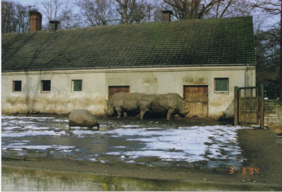Schwerin 1994
