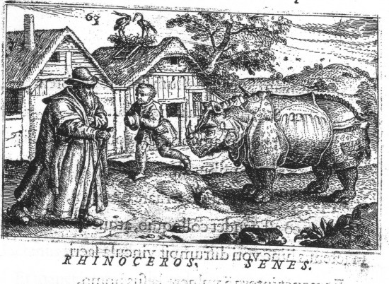 Moerman 1584