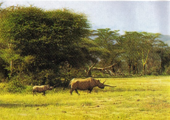 Kenya 1965