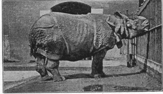 Protheroe 1910