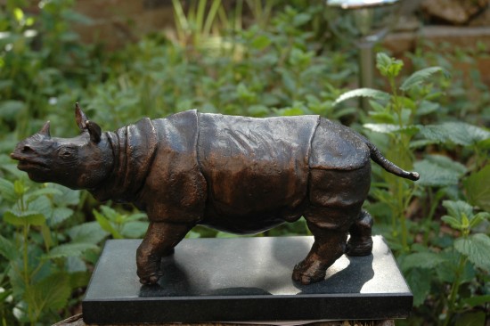 Bronze rhino