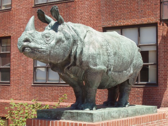 Indian Rhinoceros sculpture