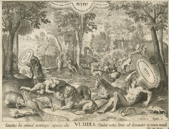Creation of the animals 1674