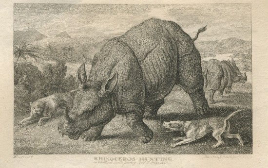 Howitt 1799 Exeter Change rhino