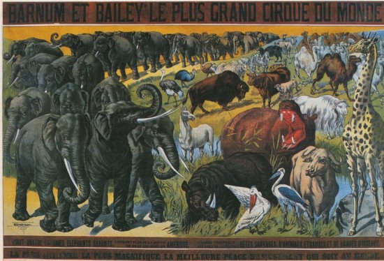 Barnum Bailey circus poster