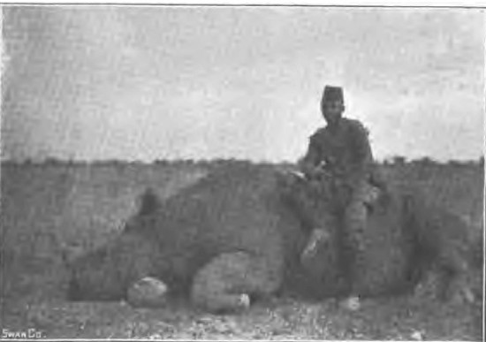 Kenya 1904