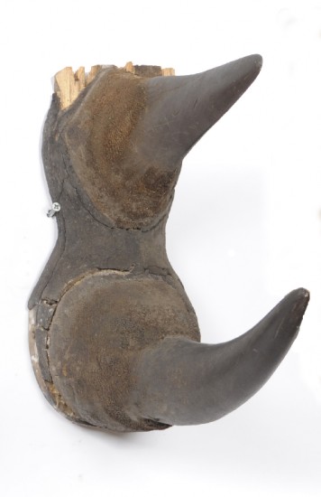 Black rhino horn 1910
