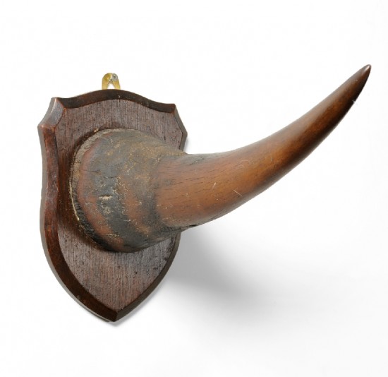 Horn 1910