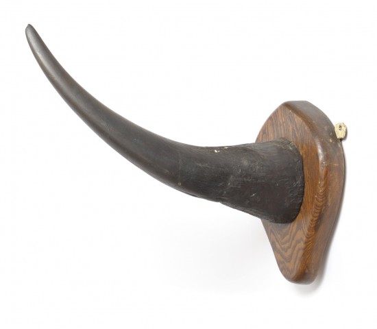 Horn 1900
