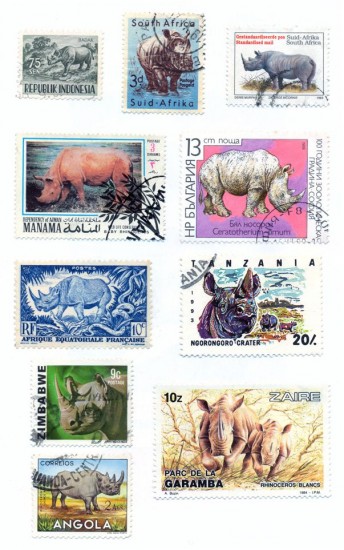Rhino stamps 1