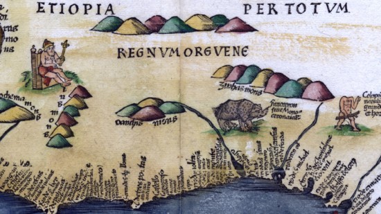 detail from Waldseemuller map