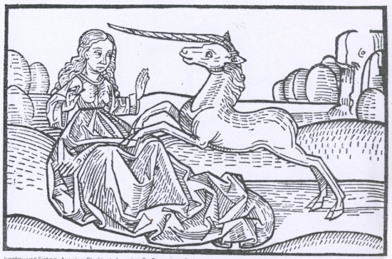 The virgin and the unicorn