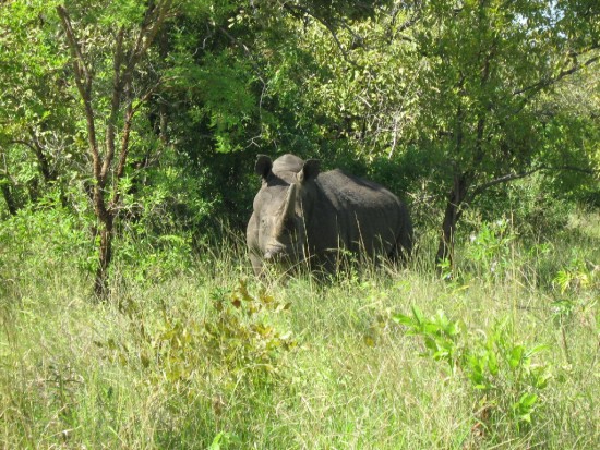 Meru, Kenya