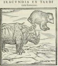 Valerianus 1556 with bear