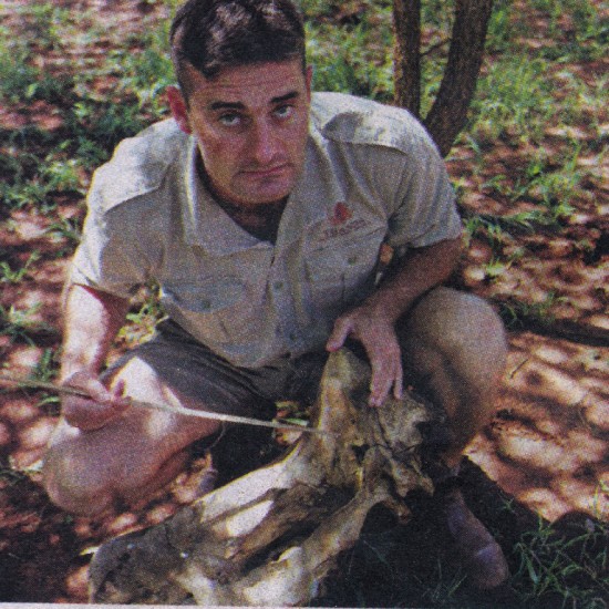Poaching in Thanda Reserve (Hluhluwe, Zululand, S-Africa)