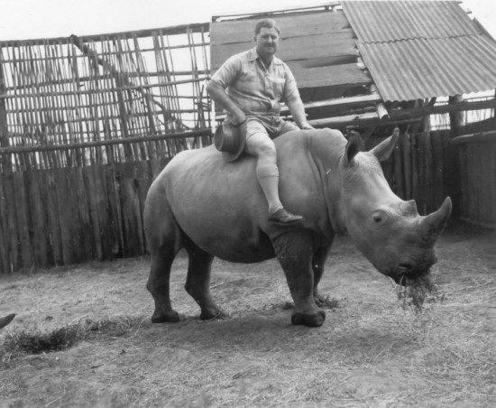 Riding rhino: Hartley