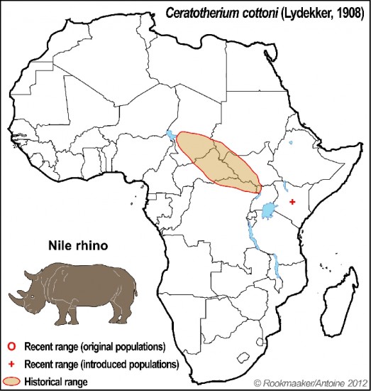 Nile Rhinoceros Range Map