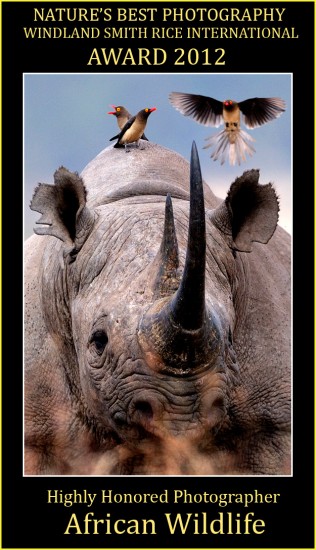 Black rhinoceros and birds (by Paolo Torchio)