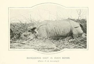 Kinloch 1904 Kuch Behar