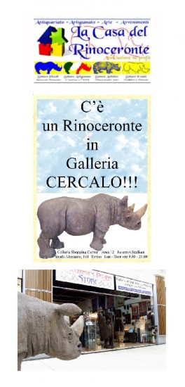 Associazione “La Casa del Rinoceronte”, Torino