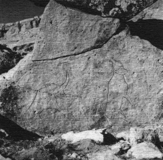 A rhinoceros engraved on the rock at Maia Dib (Acacus, Fezzan, Libya)