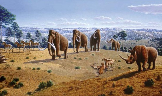 A Late Pleistocene environmental reconstruction