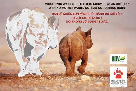 No to rhino horn