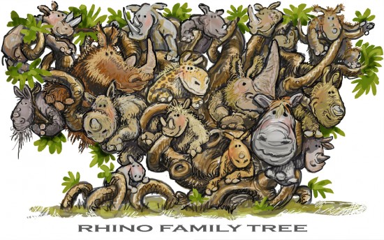 Schroder: Family Tree