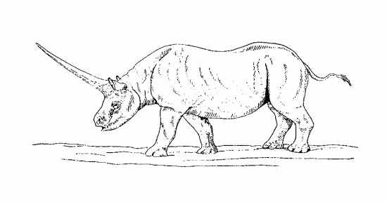 Reconstruction of Elasmotherium (Fischer) after Kurtén