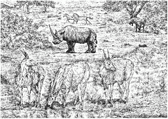 Sinotherium lagrelii Ringström, 1924 and its habitat