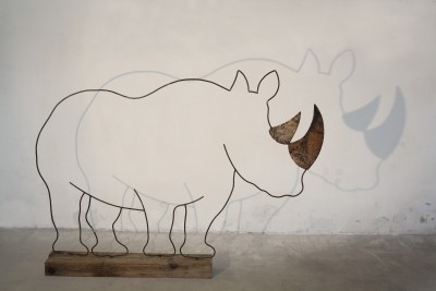 Cereda rhinoceros