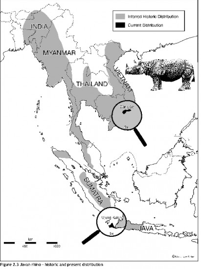Historical Range of Rhinoceros sondaicus