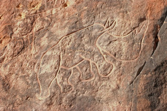An African rhinoceros engraved on the rock at In Habeter (Uadi Mathendush, Akakus, Fezzan, Libya)