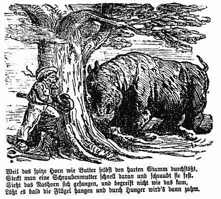 Schonborn rhino capture