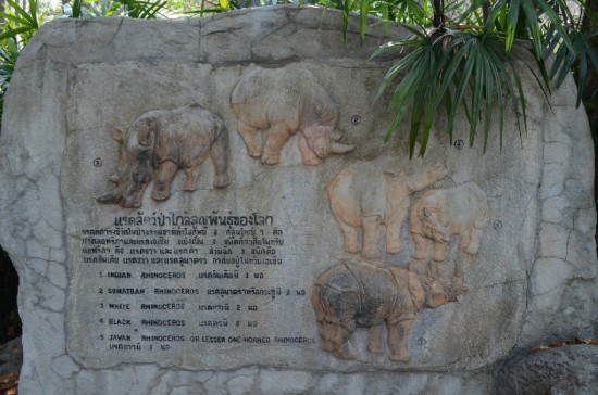 The "Big Five" in the Chiangmai zoo (Thailand)
