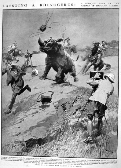Lassoing a rhino 1910