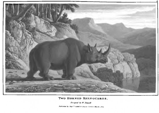 William Daniell 1807 Zoography