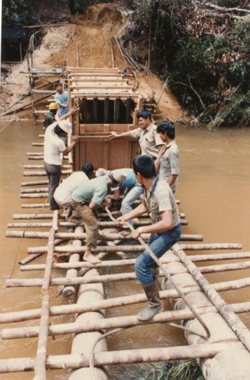 Rhino capture in Sumatra 1984-1993