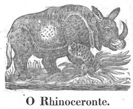 O Rhinoceronte