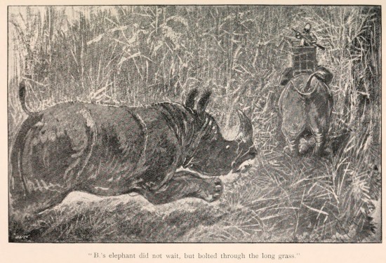 Rhino pursuing Elephant