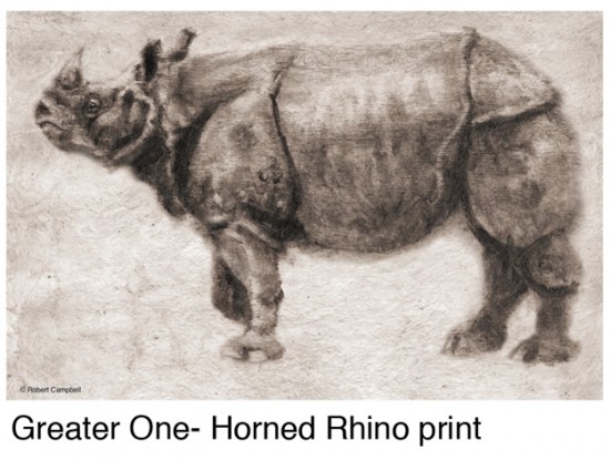 Indian Rhino by Campbell