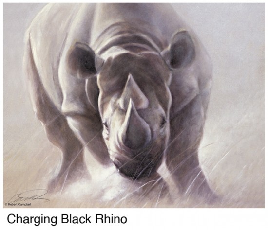 Black rhino by Campbell