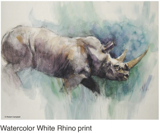 White Rhino by Campbell