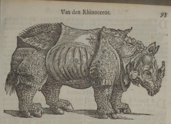 Nylant Rhinoceros