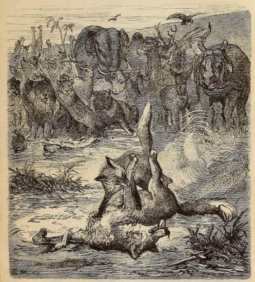 Rhino in Antwerp 1865
