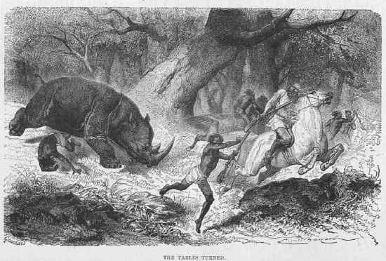 Leveson 1874 Rhino attack