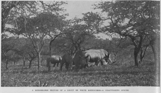 Brocklehurst 1933 Sudan