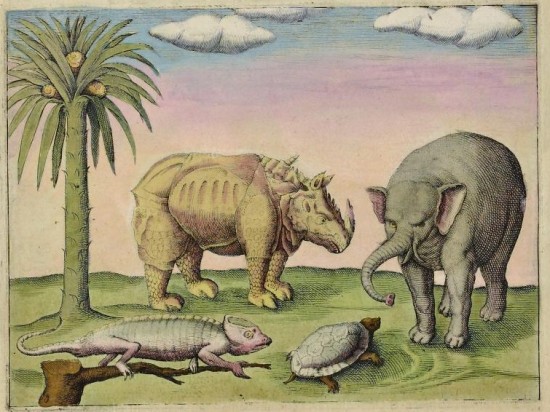 Pontanus 1611 Rhino and Elephant