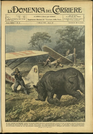 Rhino and airplane